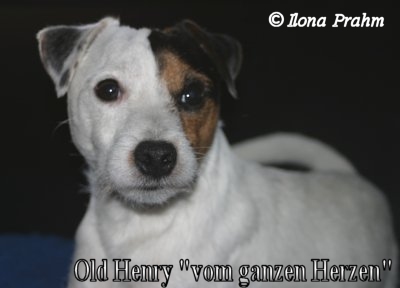 Old Henry vom ganzen Herzen
