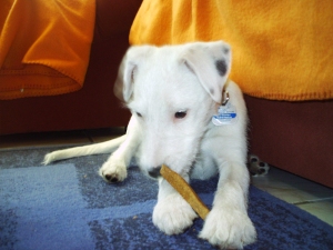 Vince ist ein Sohn von unsere Elena