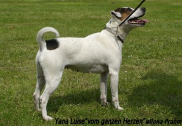 Ich bin eine Tochter von Mrs Josie & The Hunters Xantos