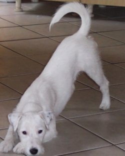 Evita ist eine Tochter von Elena