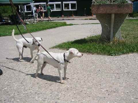 LOU ANN  &  XANTOS ( Vater & Tochter )