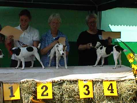 4 Platz Sukie of the Spring Cottage