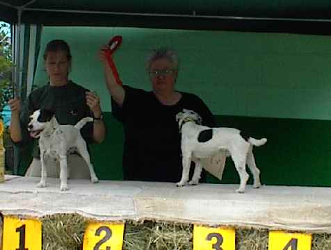 2 Platz Spike of the Spring Cottage 