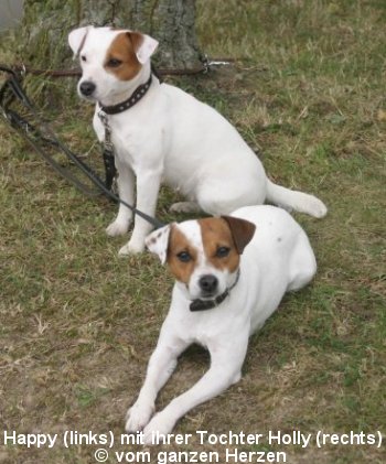 Kingsland Happy & Tynedale Holly vom ganzen Herzen