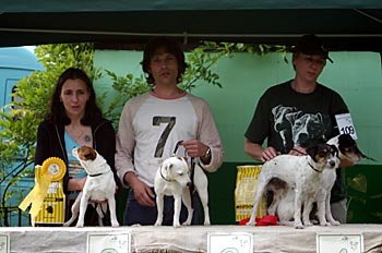 Tynedale Holly und Kingsland Happy "vom ganzen Herzen"