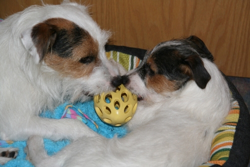 Kenny & Netti "vom ganzen Herzen"