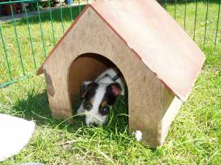 Ich bin eine Tochter von Lou Ann & Jay Jay 