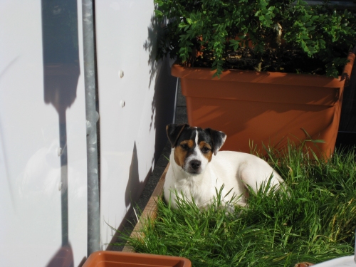 Sally "vom ganzen Herzen"