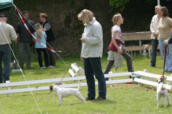 Bettina Martin mit Anytime Heaven's Gate of Oliver