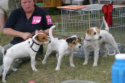 JRT von der Wallhecke