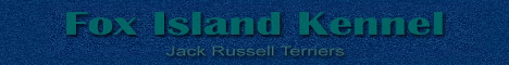 Fox-Island-Kennel