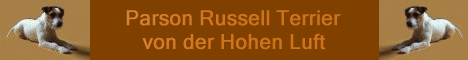 Zarra Paula vom ganzen Herzen