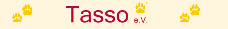 Tasso