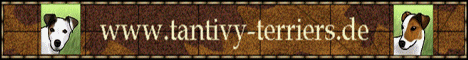 Tantivy-Terriers