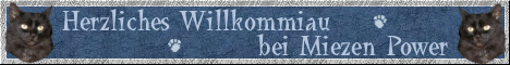 Miezen Power