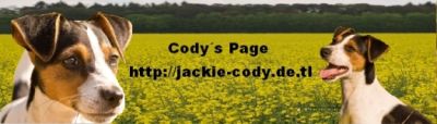 Jack Russell Cody