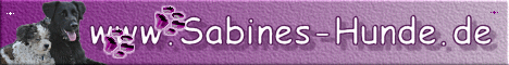 Sabines Hunde Welt