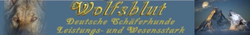 Deutsche Sch�ferhunde