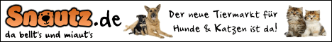 Snautz.de ist der neue Tiermarkt f�r Hunde & Katzen.